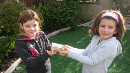 conocer_cacaolat_upp_vecino