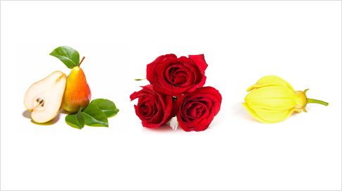 Entre sus notas aromáticas destaca la pera intensa, la rosa fresca cubierta de rocío, las semillas de ambreta y la flor de Ylang-ylang.