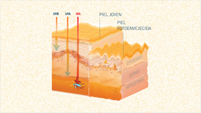 … para defendernos de las tres radiaciones solares y disfrutar de los efectos beneficiosos del sol.