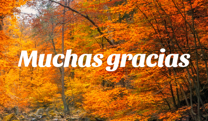 ¡Muchas gracias a todas!