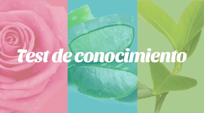 Test de conocimiento