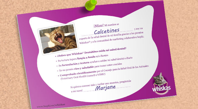 Pegamos el folleto en un lugar cisible y ayudamos a otros propietarios de gatos a saber si sus mascotas están en riesgo de sufrir enfermedades dentales