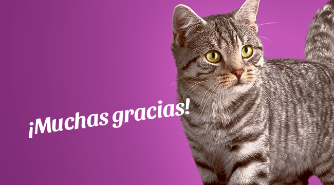 Muchas gracias por participar en el proyecto junto a Whiskas 