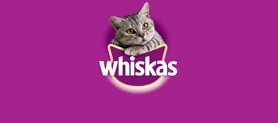 Whiskas es la marca de alimentación felina más conocida en España y la que más mininos alimenta en el mundo. 